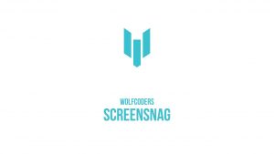تحميل برنامج تسجيل الشاشة فيديو 2018 ScreenSnag